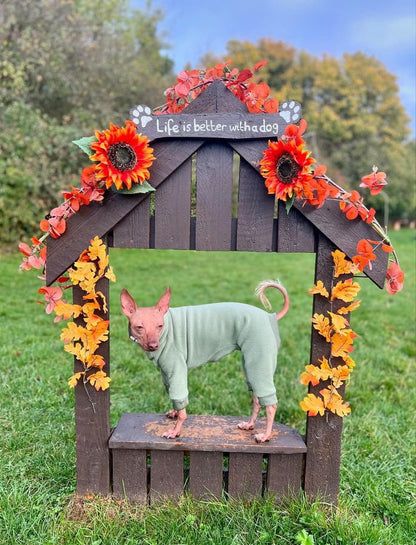 Fleece Lined Sweatshirt - Sage Green