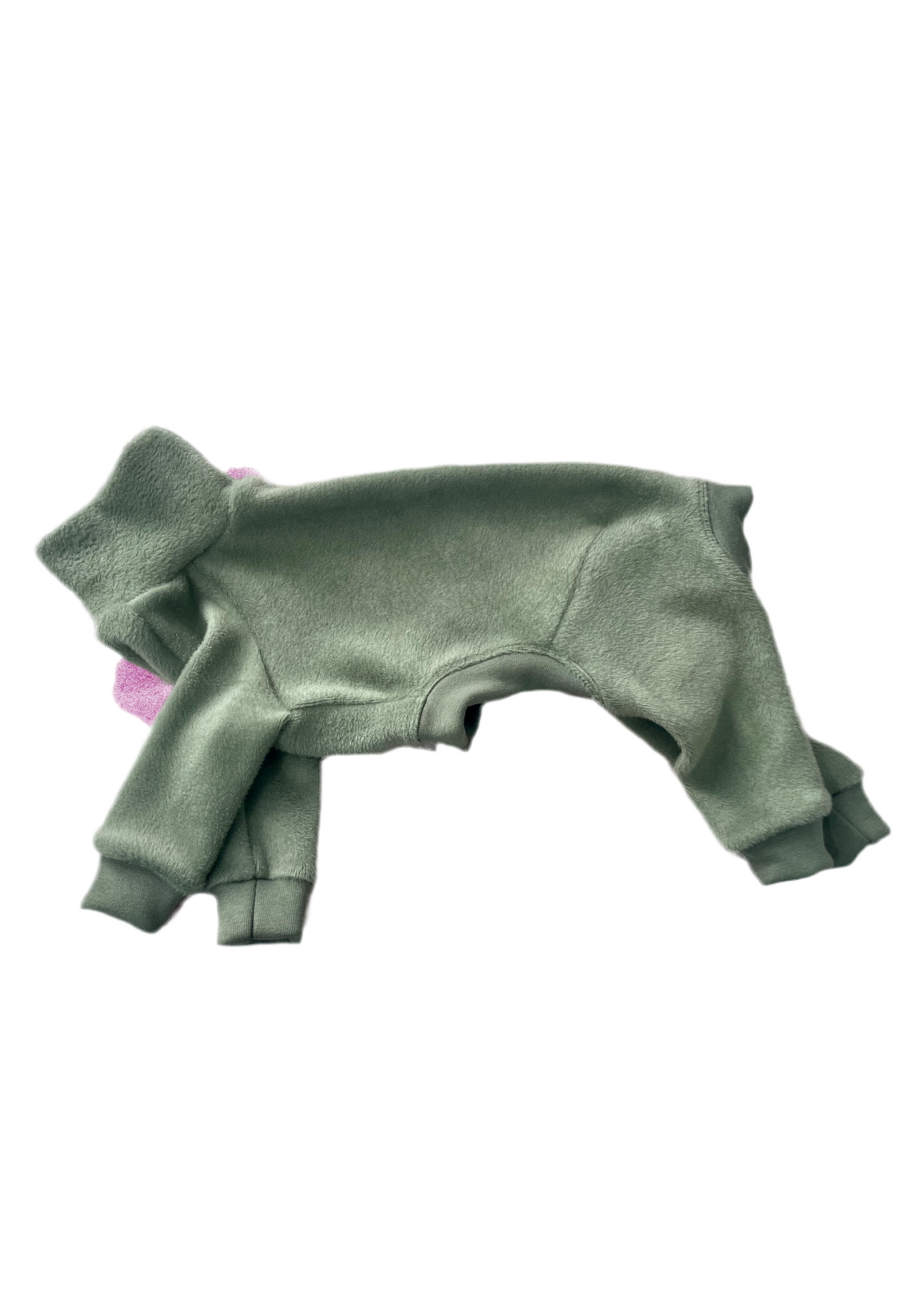 Fleece Lined Sweatshirt - Sage Green
