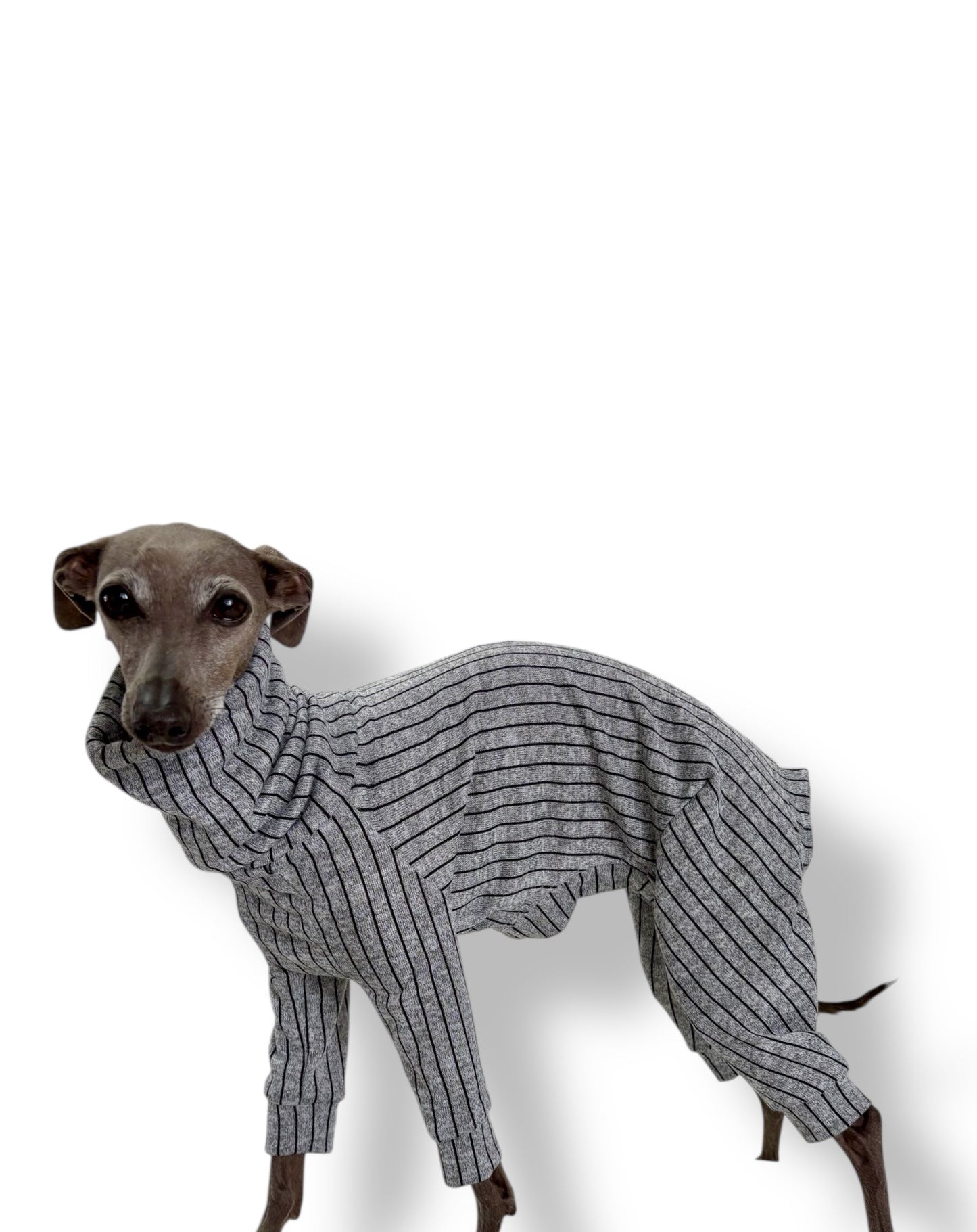 Knit Jersey Suit - Grey Stripe