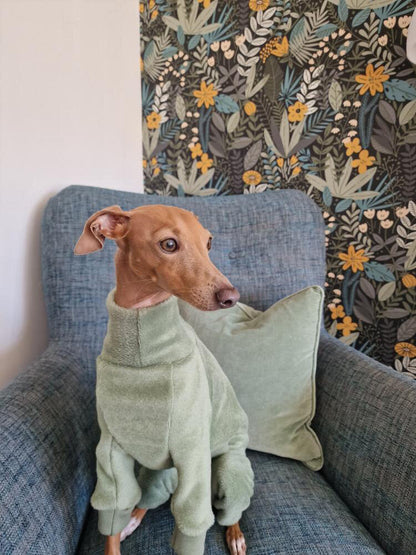 Fleece Lined Sweatshirt - Sage Green