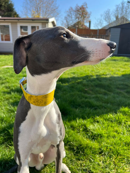 Leather Collar - Tattoo Flash