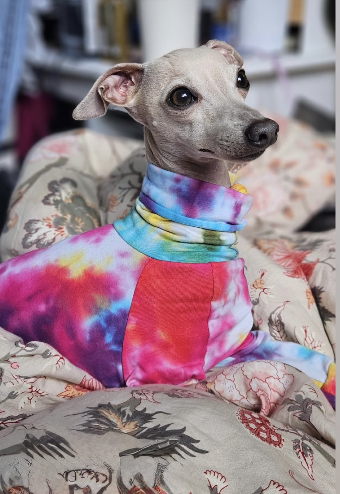 Jersey Suit - Rainbow Tie Dye