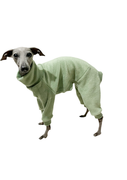 Fleece Lined Sweatshirt - Sage Green