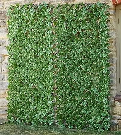 Topiary Fresh Ivy Leaf Trellis