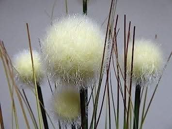 Beautiful Faux Artificial Grass Ornamental Floral Bouquet