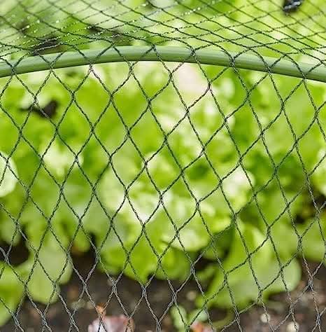 Garden Mile Pond Netting - 2m x 4m Fine Mesh Netting for Plants Garden Bird Protection