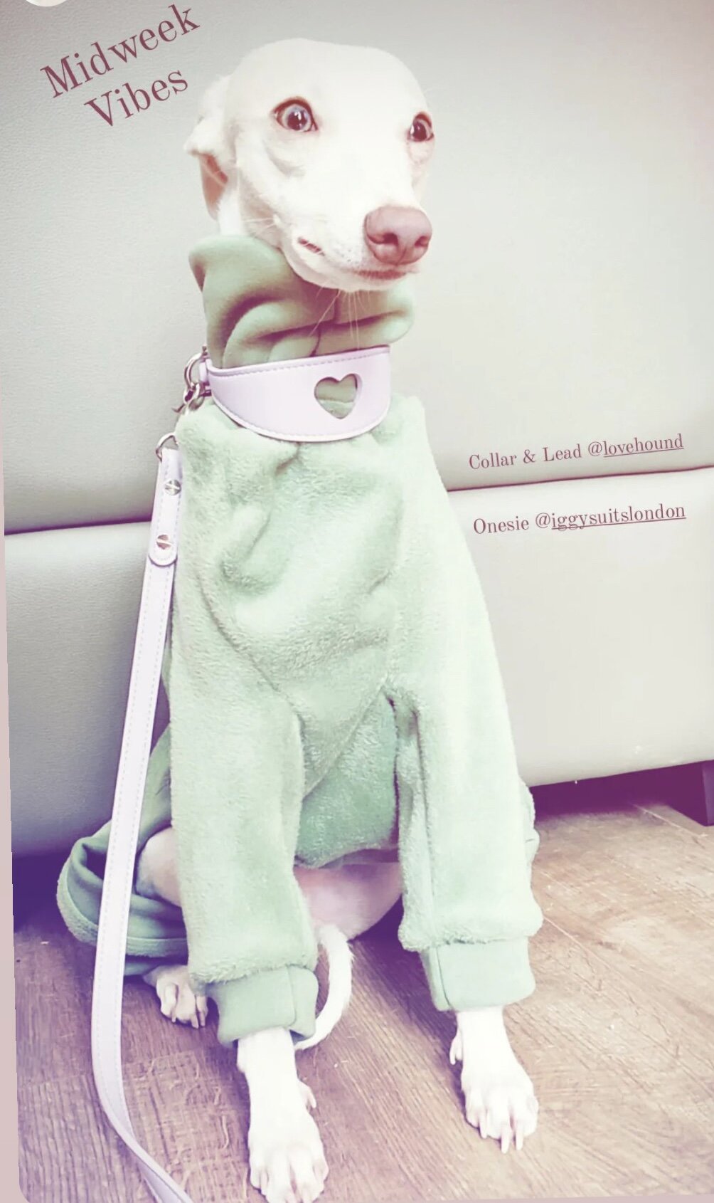 Fleece Lined Sweatshirt - Sage Green