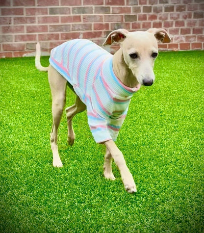 Ribbed Jersey T-Shirt - Pink & Blue Stripe