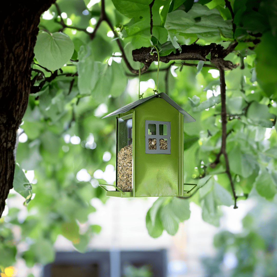 Bird Seed Feeder Beach Hut