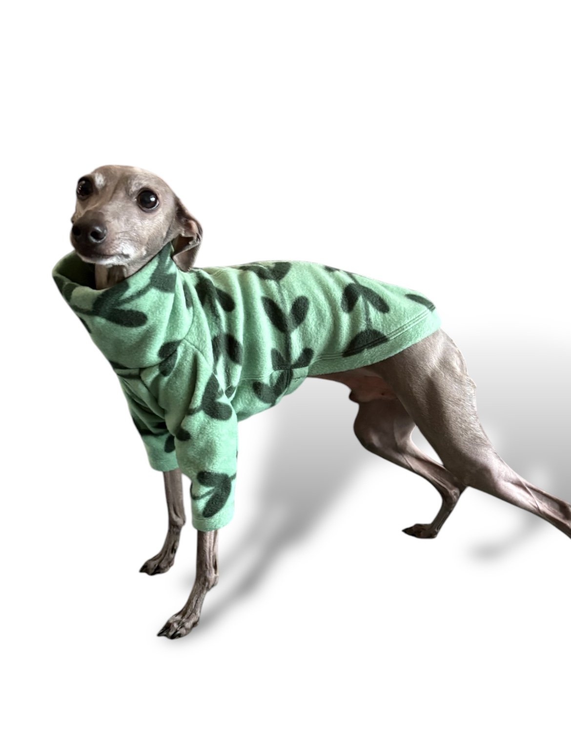 Fleece Jumper - Feeling Vine