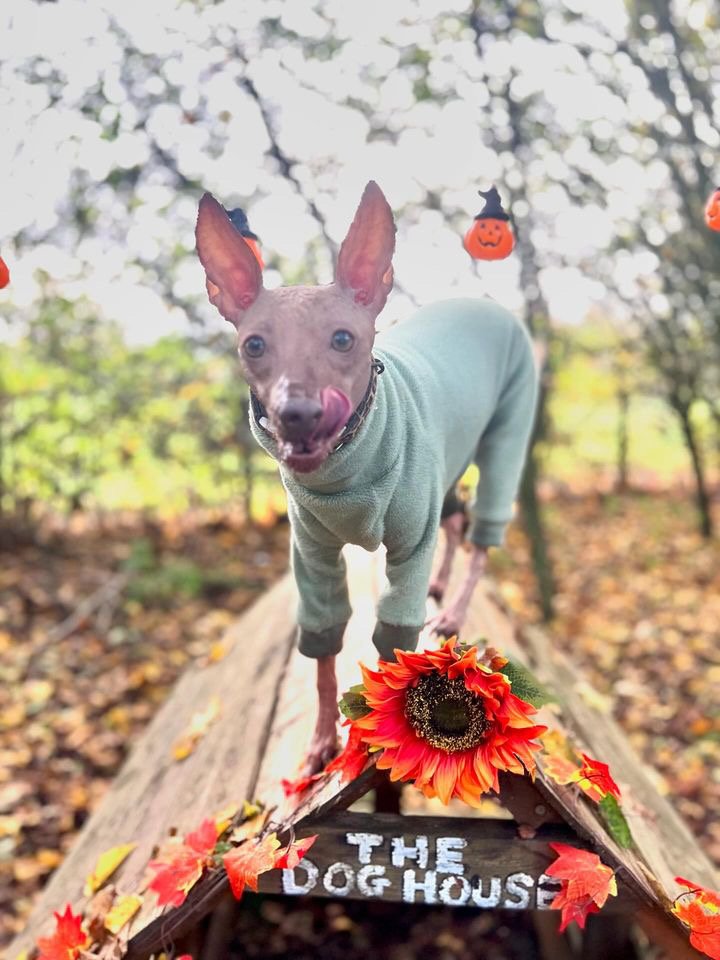 Fleece Lined Sweatshirt - Charcoal Grey