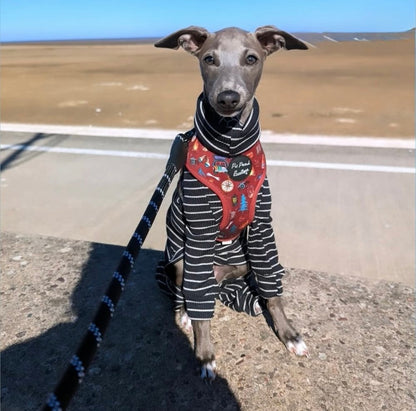 Knit Jersey Suit - Grey Stripe