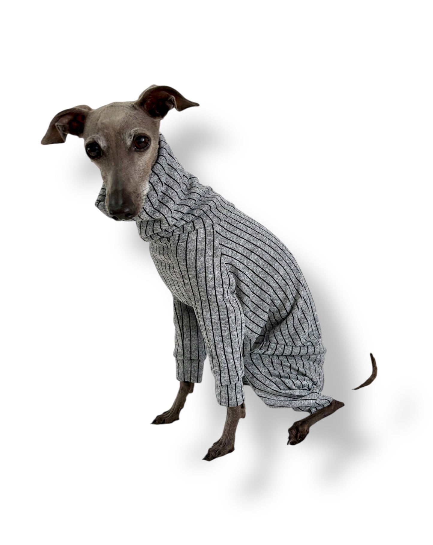 Knit Jersey Suit - Grey Stripe