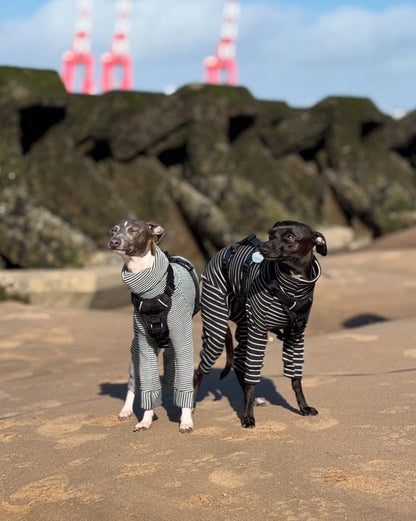 Knit Jersey Suit - Grey Stripe