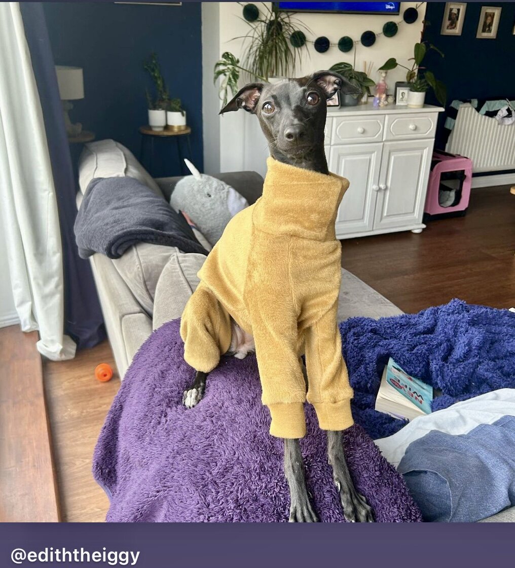 Fleece Lined Sweatshirt - Honey Yellow