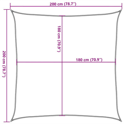 Sunshade Sail 160 g/m² Orange 2x2 m HDPE