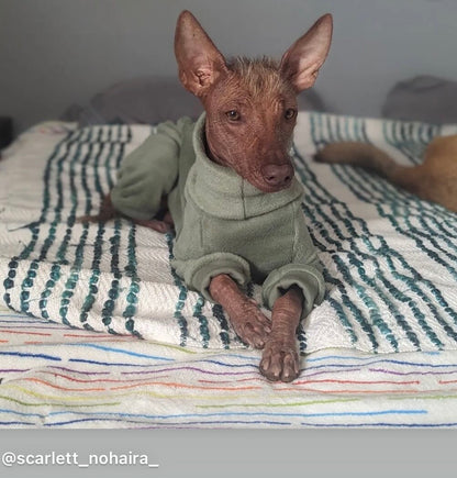 Fleece Lined Sweatshirt - Sage Green