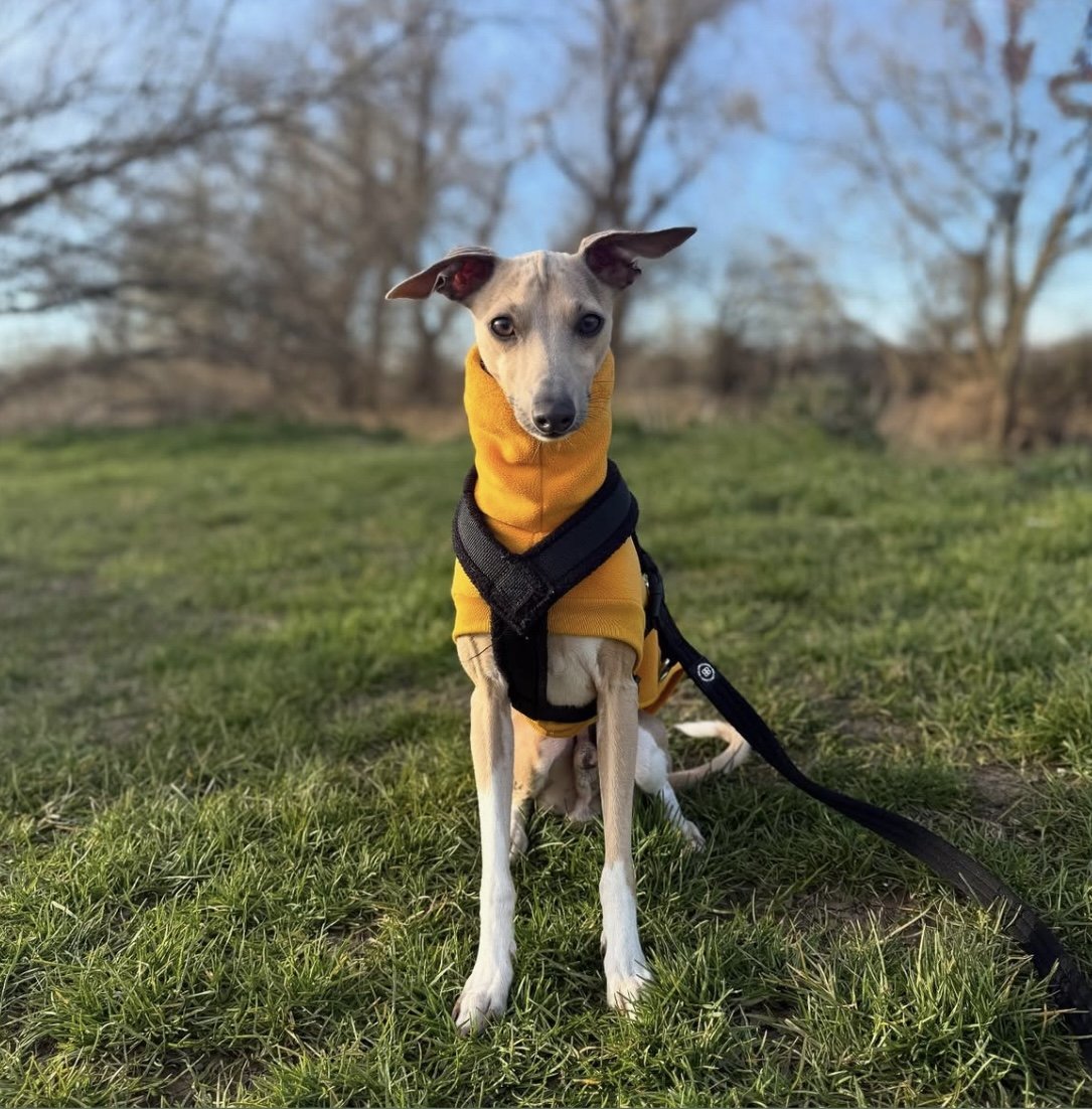 Open-Leg Fleece Vest - Yellow
