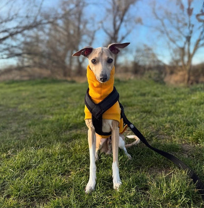 Open-Leg Fleece Vest - Yellow
