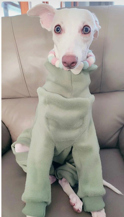 Fleece Lined Sweatshirt - Sage Green