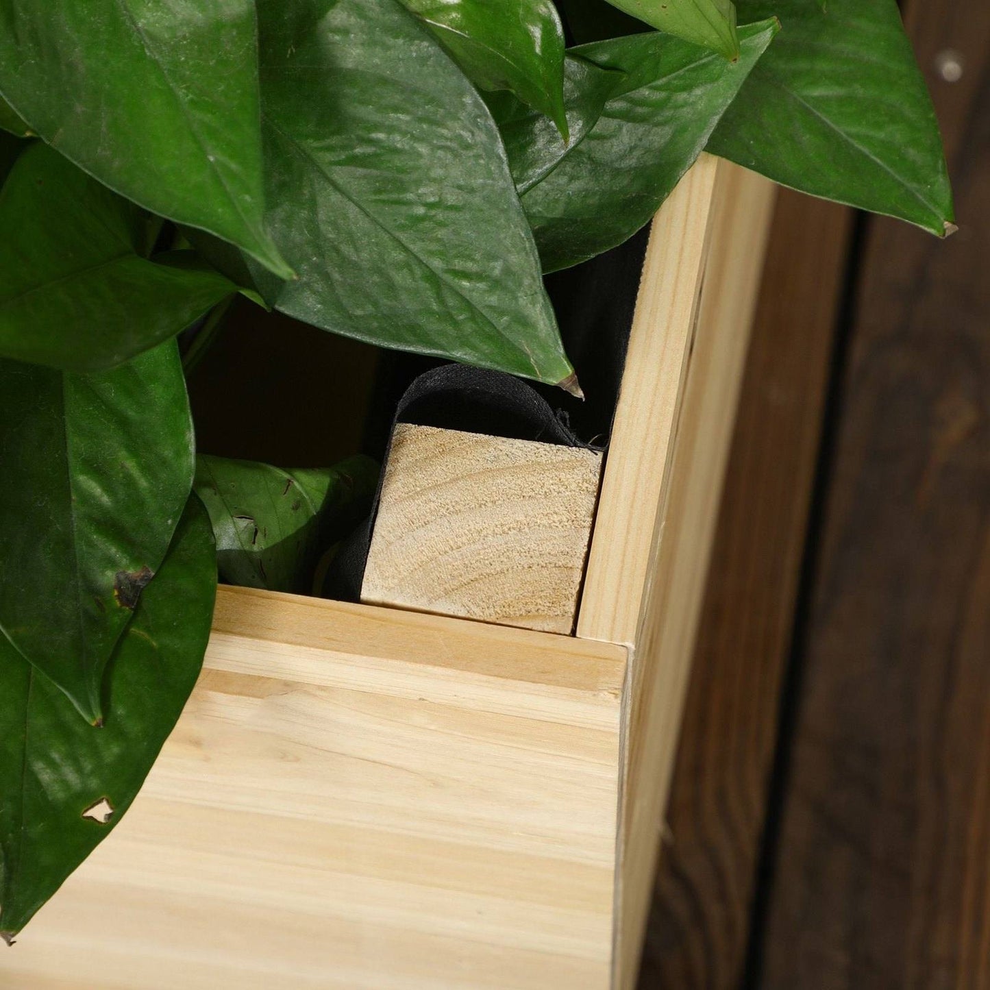 Garden Planters with Trellis for Vine Climbing