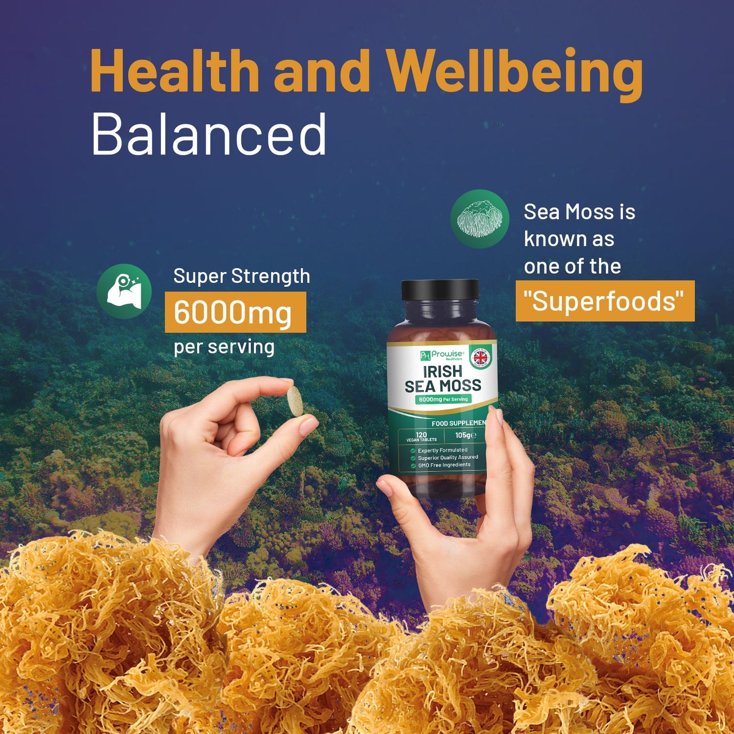 Irish Sea Moss Tablets High Strength 6000mg – Irish Sea Moss Supplement 120 Vegan Tablets High Potency