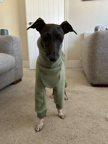 Fleece Lined Sweatshirt - Sage Green