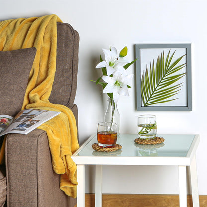 290ml Coloured Adora Premium Whisky Glasses - Pack of Six