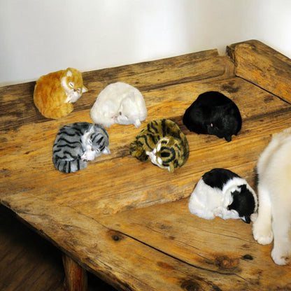 17cm' LYING CURLED' UP BABY KITTEN