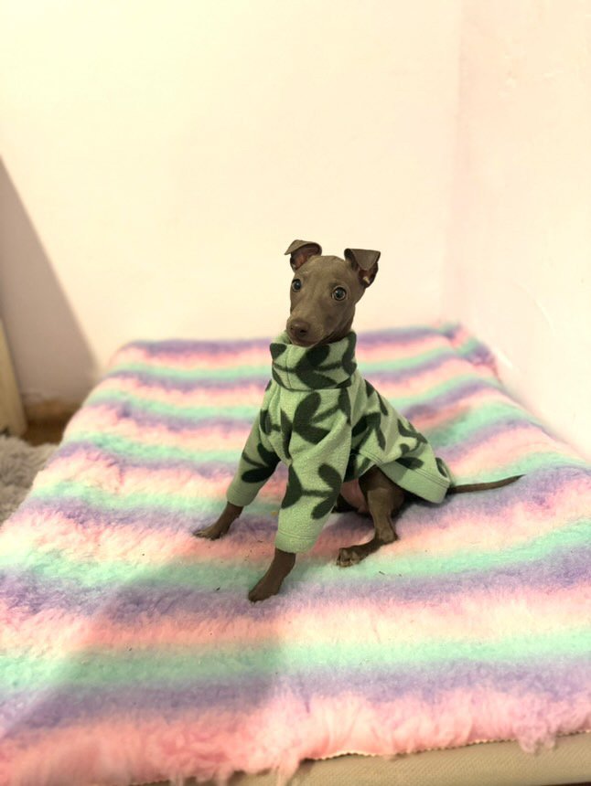 Fleece Jumper - Feeling Vine