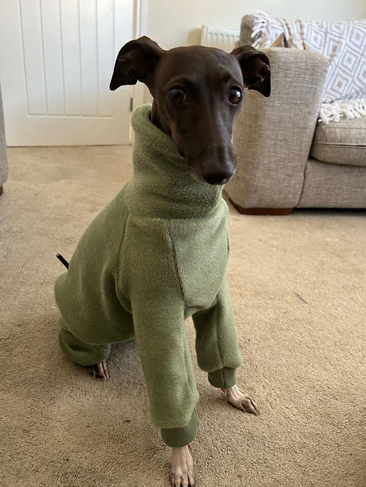 Fleece Lined Sweatshirt - Sage Green