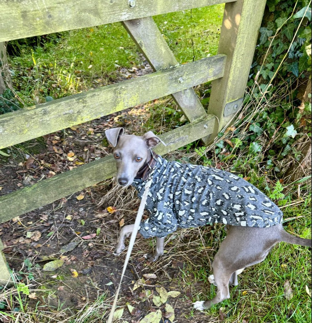 Jersey Knit Jumper - Leopard Print