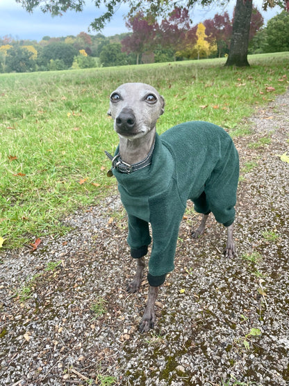 Fleece Lined Sweatshirt Suit - Stone