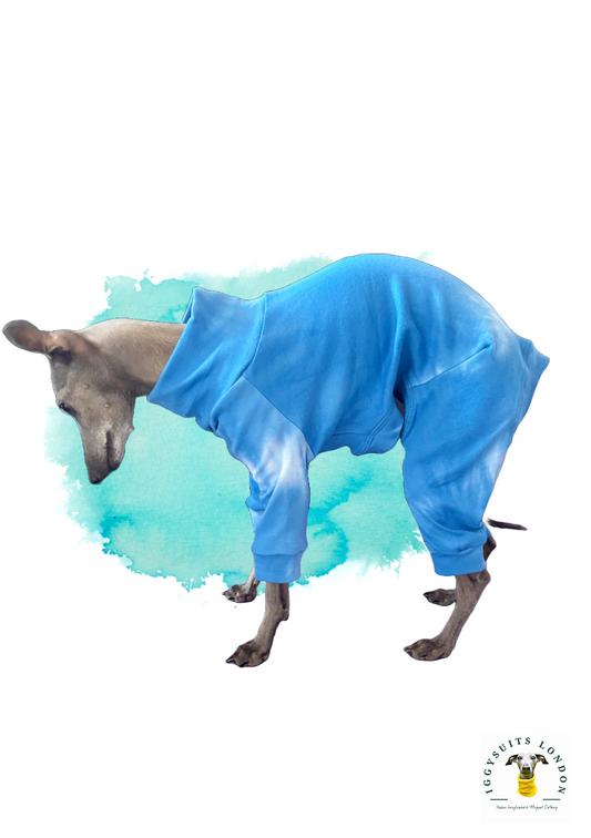 Puppy Jersey Suit - Blue Tie Dye