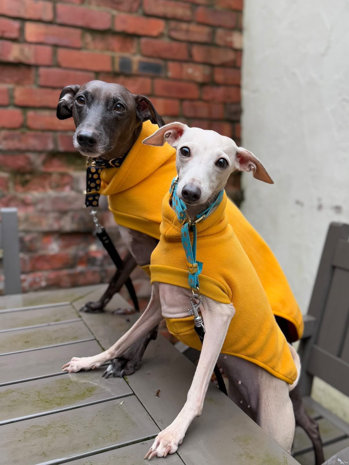 Open-Leg Fleece Vest - Yellow