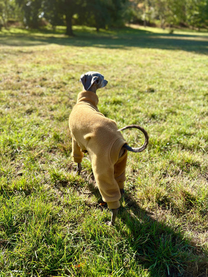 Fleece Lined Sweatshirt - Charcoal Grey