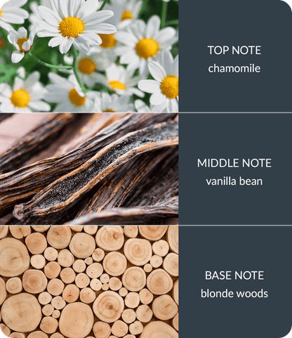 Vanilla & White Woods Fragrance Diffuser -70ml - Up to 12 Weeks of Fragrance