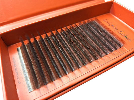 🤎Brown W Lash Tray – 16 Rows Single Length 🤎
