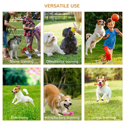 Portable Pet Agility Training Obstacle Set For Dogs With Adjustable High Jumping Pole