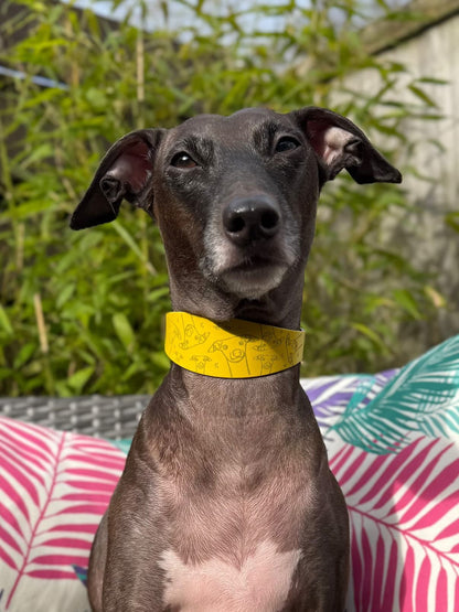 Leather Collar - Hounds