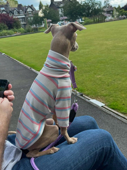 Ribbed Jersey T-Shirt - Pink & Blue Stripe