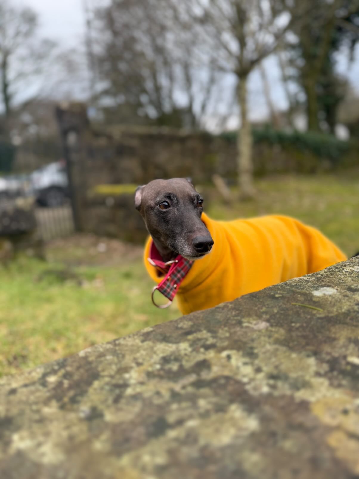 Open-Leg Fleece Vest - Yellow