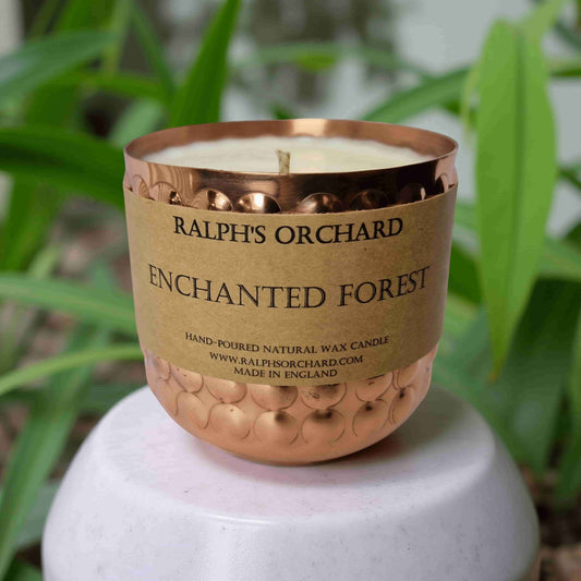 Enchanted Forest – Pine Tree Scented Candle