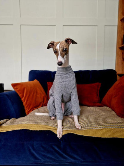 Fleece Lined Sweatshirt - Grey