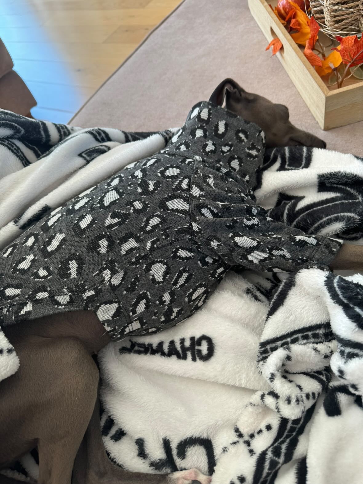Jersey Knit Jumper - Leopard Print