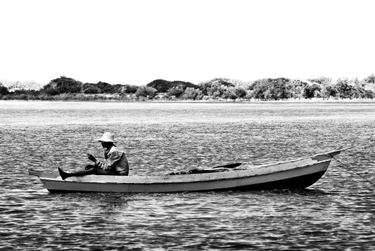 David Ballam - MZ 19