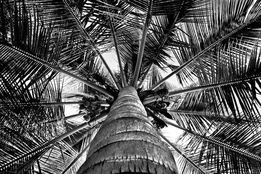 David Ballam - MZ 20