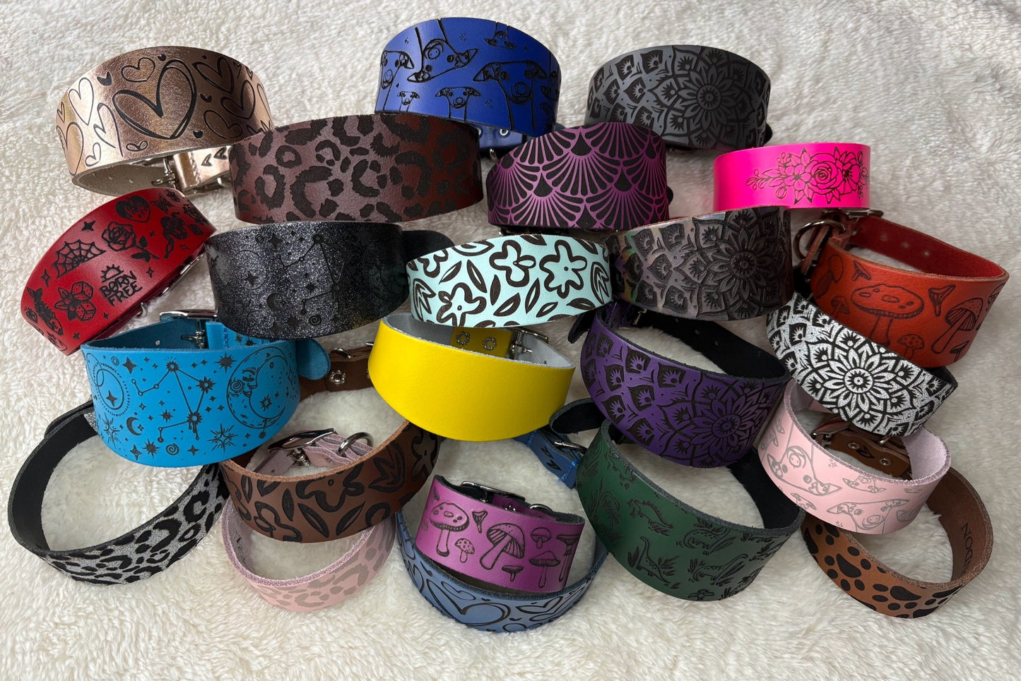 Leather Collar - Dinosaurs