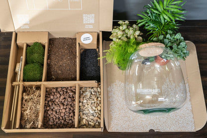 Bell Jar Terrarium Kit