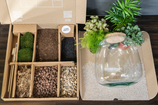 Bell Jar Terrarium Kit